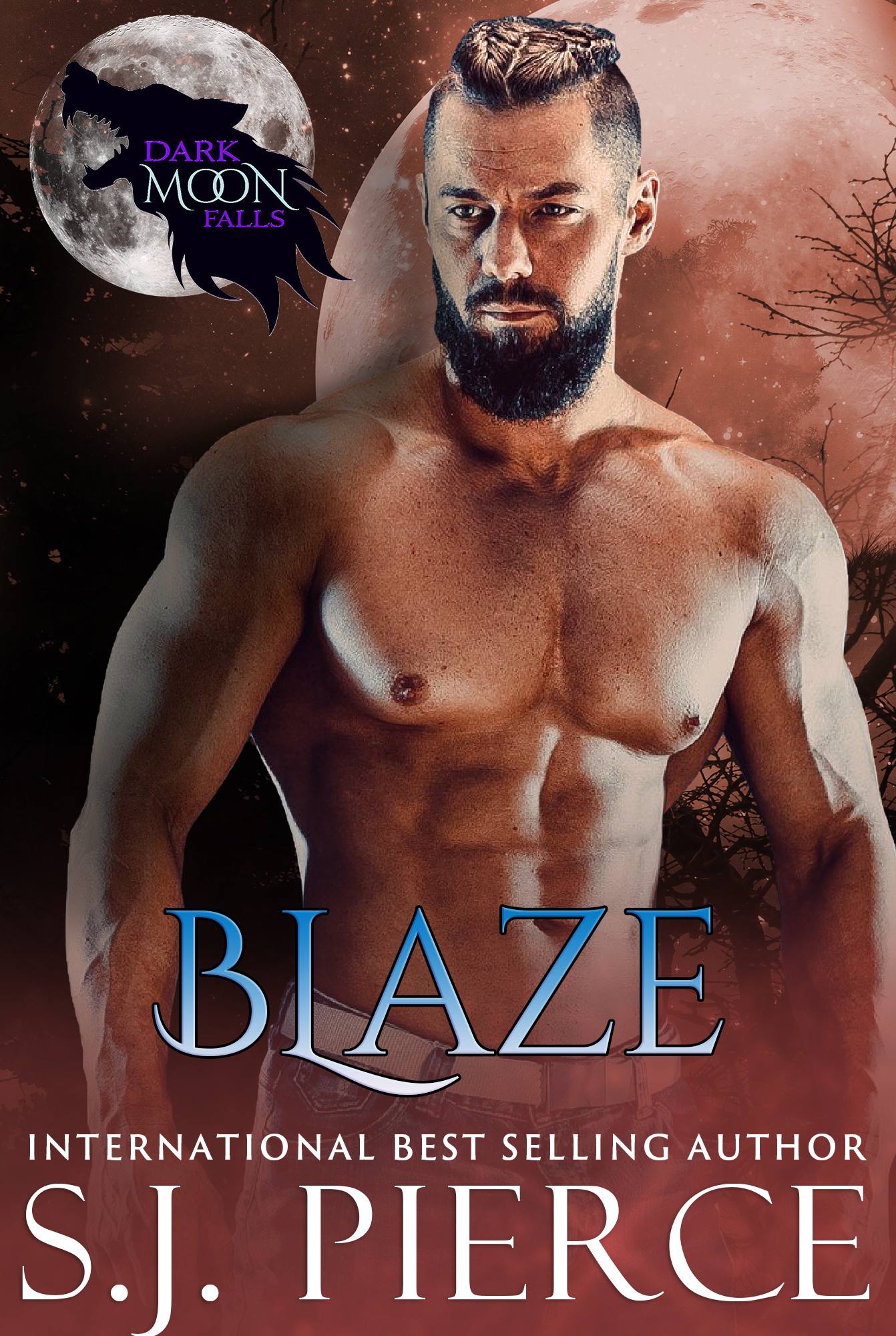 Dark Moon Falls: Blaze - A paranormal shifter romance
